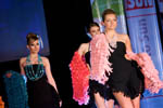 Photo from Beer &amp; Cocktail Show 2008