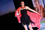 Photo from Beer &amp; Cocktail Show 2008