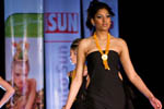 Photo from Beer &amp; Cocktail Show 2008