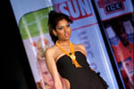 Photo from Beer &amp; Cocktail Show 2008