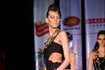 Photo from Beer &amp; Cocktail Show 2008