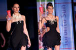 Photo from Beer &amp; Cocktail Show 2008