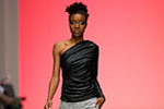 Photo from LG Toronto Fashion Week, Fall/Winter 2009-2010: David Dixon Fashion Show