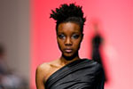 Photo from LG Toronto Fashion Week, Fall/Winter 2009-2010: David Dixon Fashion Show