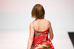 Photo from LG Toronto Fashion Week, Fall/Winter 2009-2010: Heart
    Truth Fashion Show