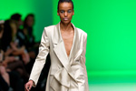 Photo from LG Toronto Fashion Week, Fall/Winter 2009-2010: Andy The-Anh Fashion Show