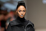 Photo from LG Toronto Fashion Week, Fall/Winter 2009-2010: Evan Biddell Fashion Show