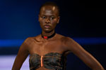 Photo from Bruno Ierullo 'Made in Canada' Fashion Show, Spring/Summer 2010